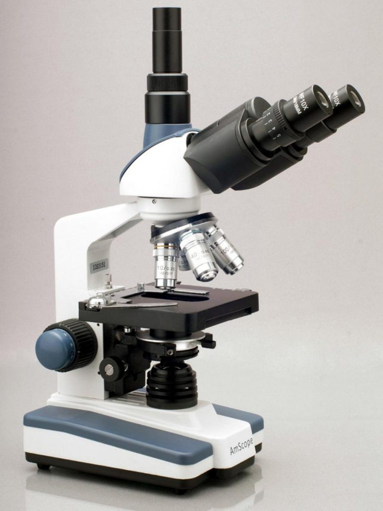 خرید میکروسکوپ الکترونی یا خرید میکروسکوپ نوری